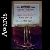 a framed award with a crown on it